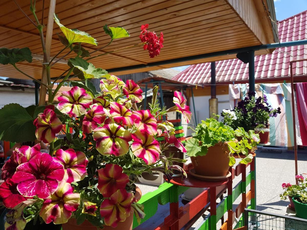 Casa Simona Hotel 2 Mai Ngoại thất bức ảnh